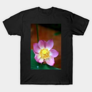 Large Lotus Flower #2, Thailand T-Shirt